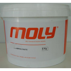 Moly C 6068 Vidalı-A&C kompresör Yağı 